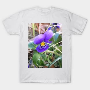 Stray Violet T-Shirt